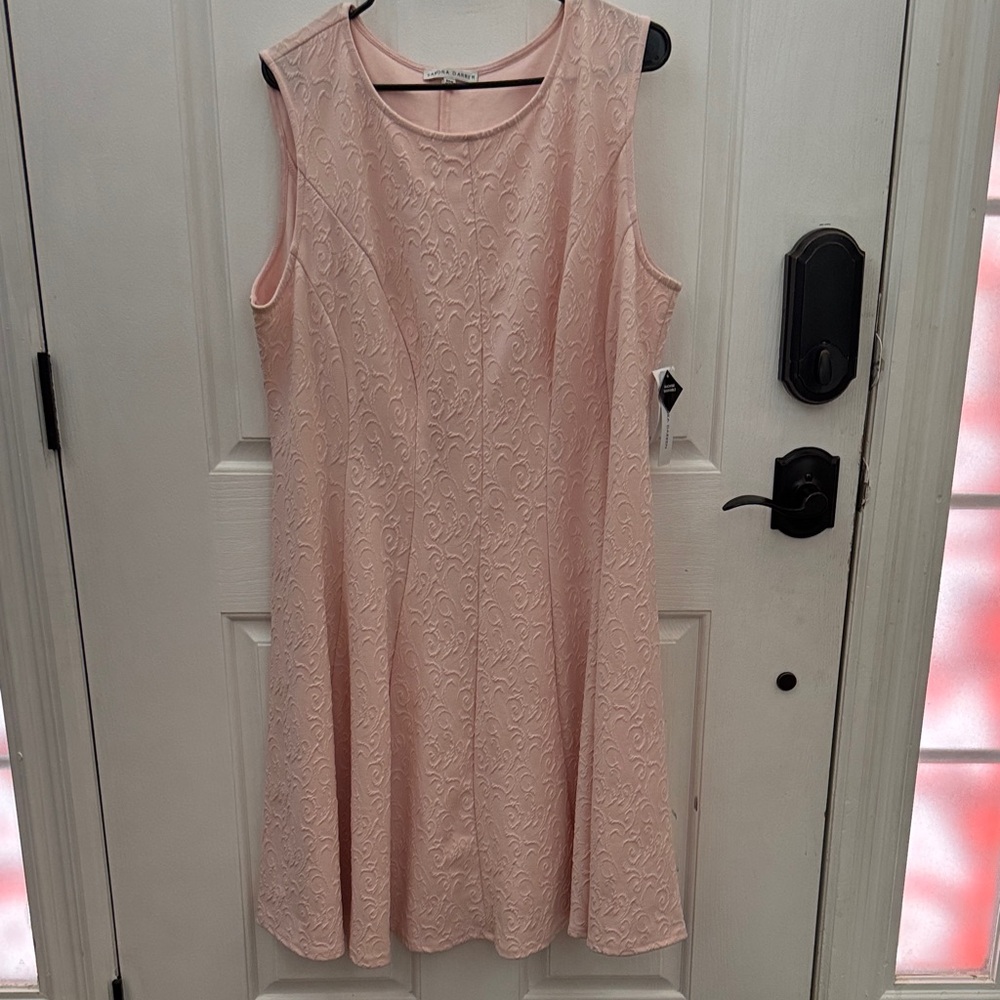 Sandra Darren Elegant off Pink Sleeveless Dress size 20 W